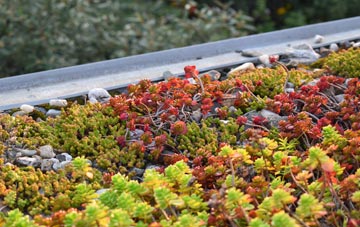the cost of Thorpe Edge green roof installation