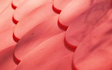 Thorpe Edge plastic roof costs